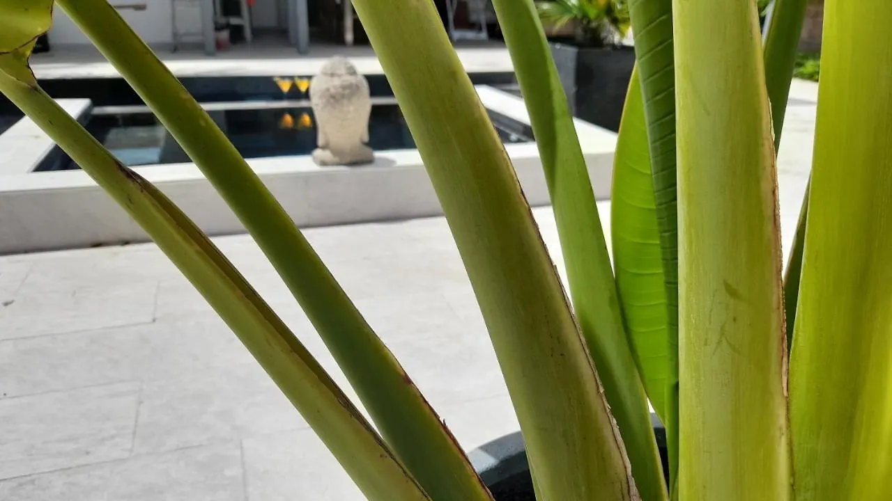 Villa Amour - Orient Bay Beach Quarter of Orleans